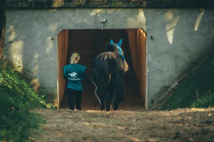 Przejście na tor wyścigowy przez wąski, ciemny tunel nie jest straszne folblutowi